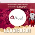 Launched -Burgundy Consultants banner